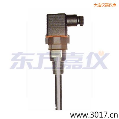 大連含有溫度的兩線電導率電極