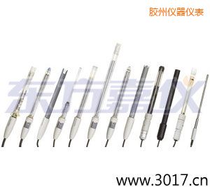 膠州pH電極