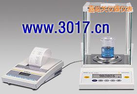 嘉峪關(guān)BT系列精密天平,4200g,10mg