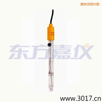 南京可填充玻璃管電極