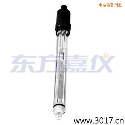 南京玻璃外殼純水電極