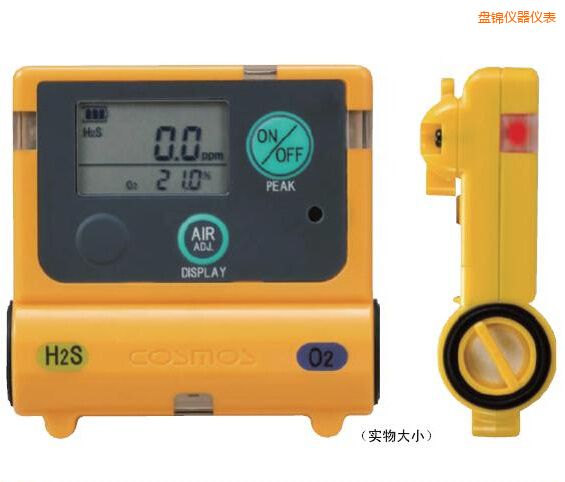 盤錦復(fù)合型氣體檢測器