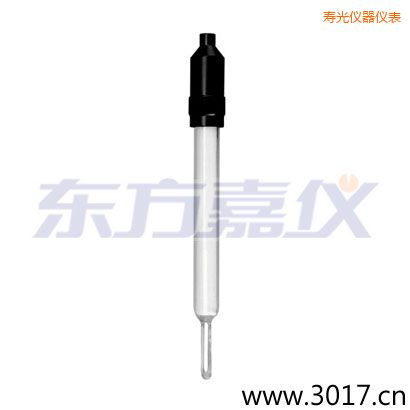 壽光玻璃外殼無溫補兩線電導(dǎo)率電極