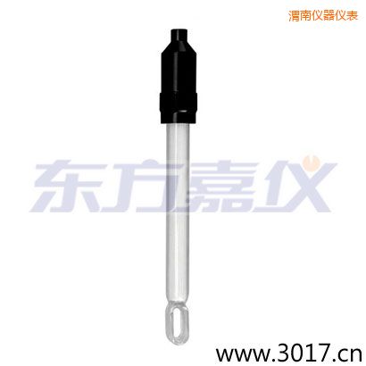 渭南無溫補(bǔ)兩線電導(dǎo)率電極