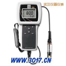 武漢便攜式溶解氧測量儀