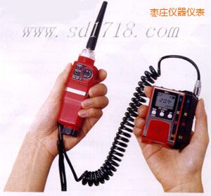 棗莊可燃?xì)怏w檢測報(bào)警儀