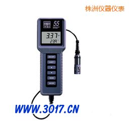株洲溶解氧、溫度測量儀
