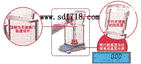 ��ؕ���M����ƽ,4100g,0.1g